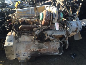 (Stock # 3459)