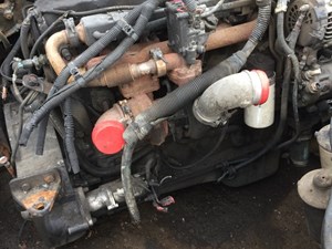 (Stock # 4242)