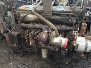(Stock # 3411)
