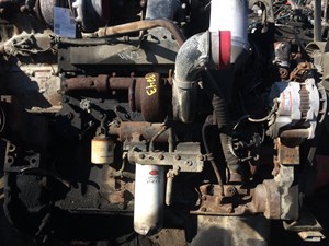 (Stock # 3243)
