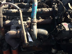 (Stock # 4370)