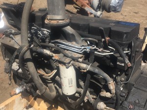 2003   (Stock # 7950)