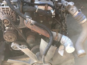 2004   (Stock # 8462)