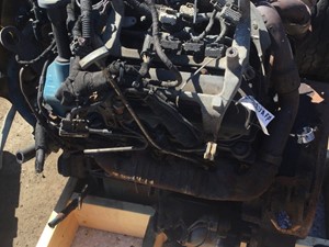 2004   (Stock # 8038)